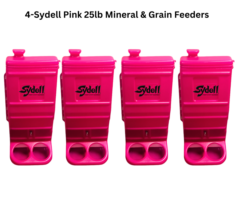 Pink Mineral & Grain Feeder #1012