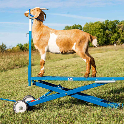 Hydraulic Stand for Sheep & Goats | Sydell #0780