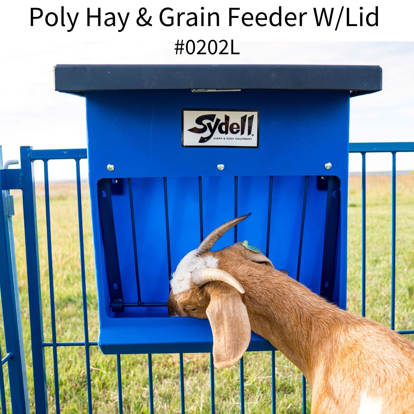 Poly Hay Grain Feeder with Lid 0201L for Sheep & Goats | Sydell #0201L