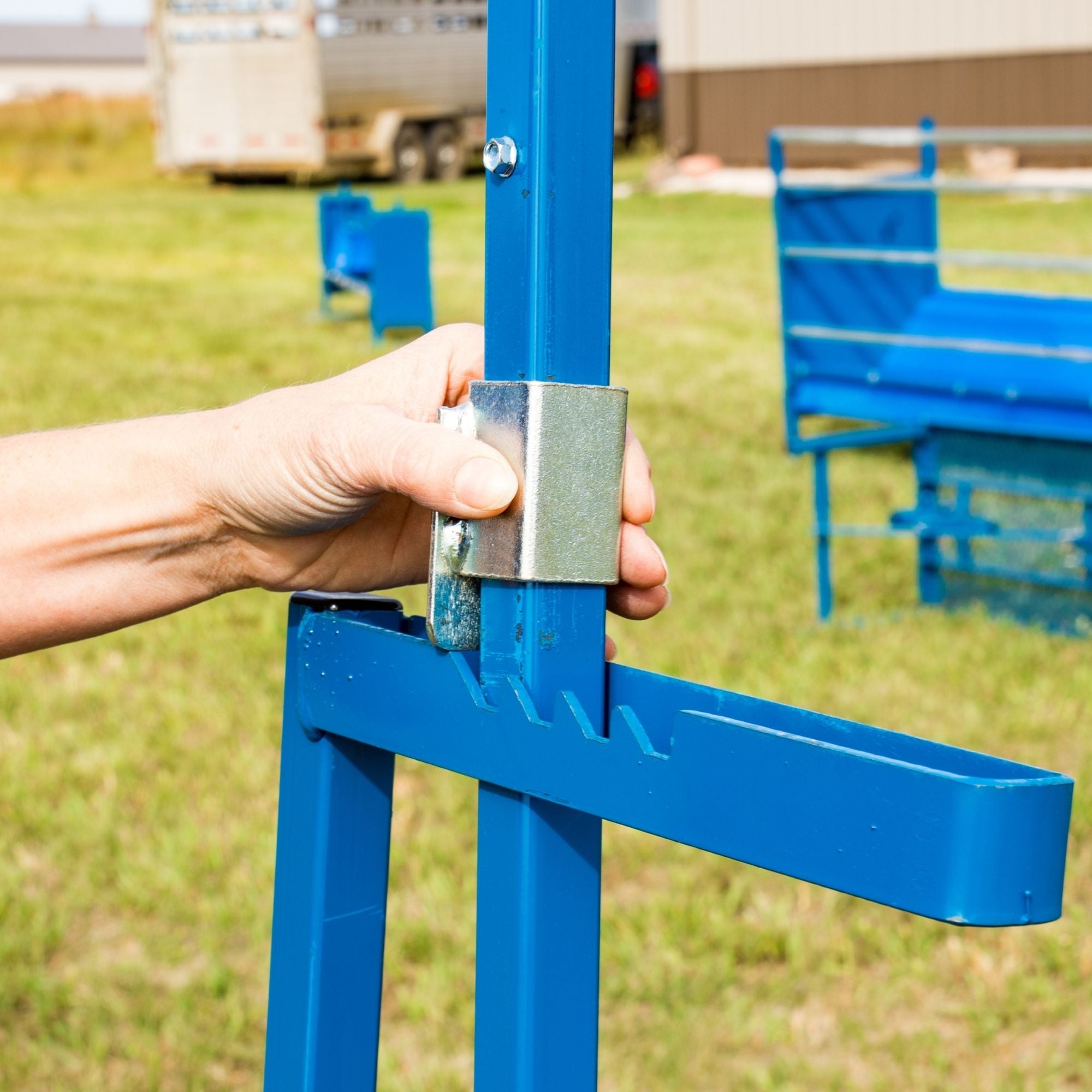 Sheep & Goat Milking Equipment | Milking Stanchions & Stands