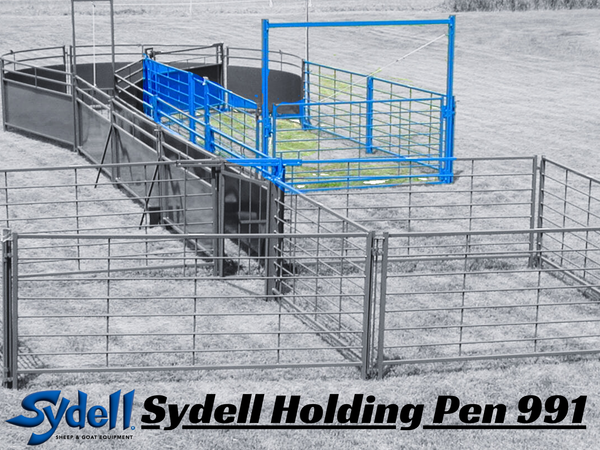 Sheep & Goat Working Stock Equipment | Handling & Management | Sydell ...