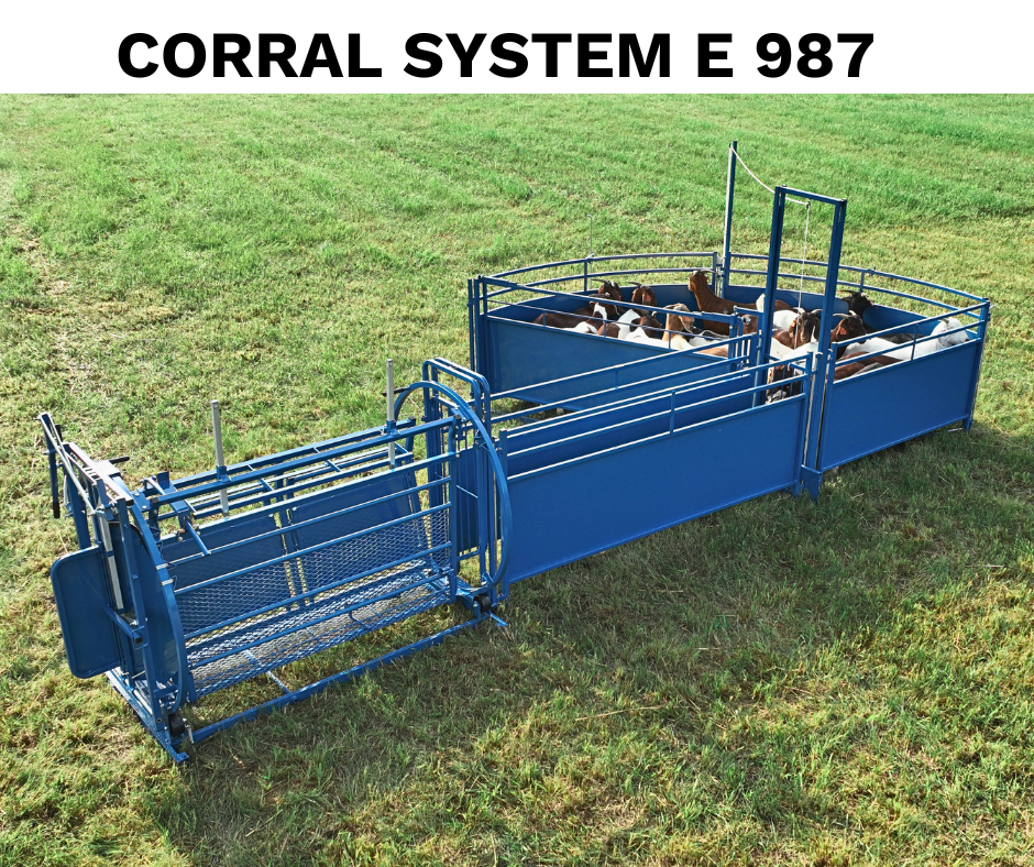 System E Working System (987) sheep and goat working system for livestock handling and animal flow