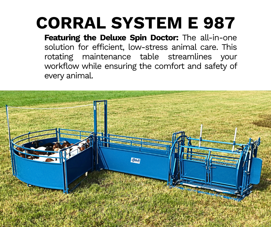 System E Working System (987) installed in barn layout for efficient sheep and goat handling