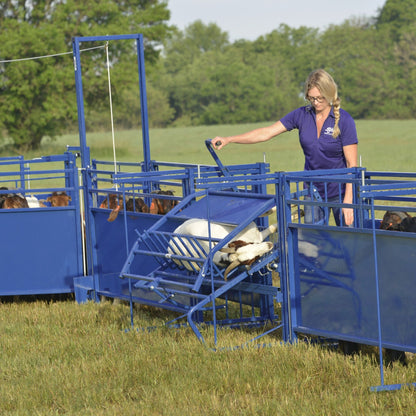 Tilt Table for Sheep & Goats Hoof Trimming | Sydell #0930
