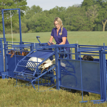 Tilt Table for Sheep & Goats Hoof Trimming | Sydell #0930