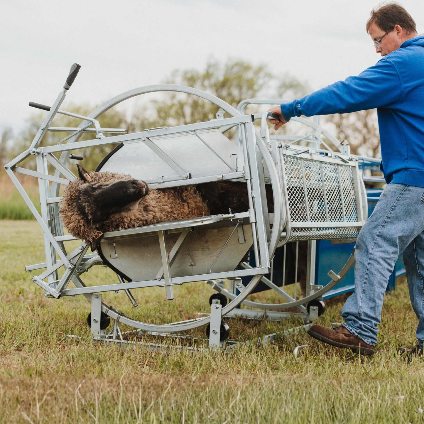 Deluxe Spin Doctor Sheep & Goat Hoof Trimming | Sydell  0938