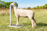 Sydell goat and sheep single fold-up holding stand