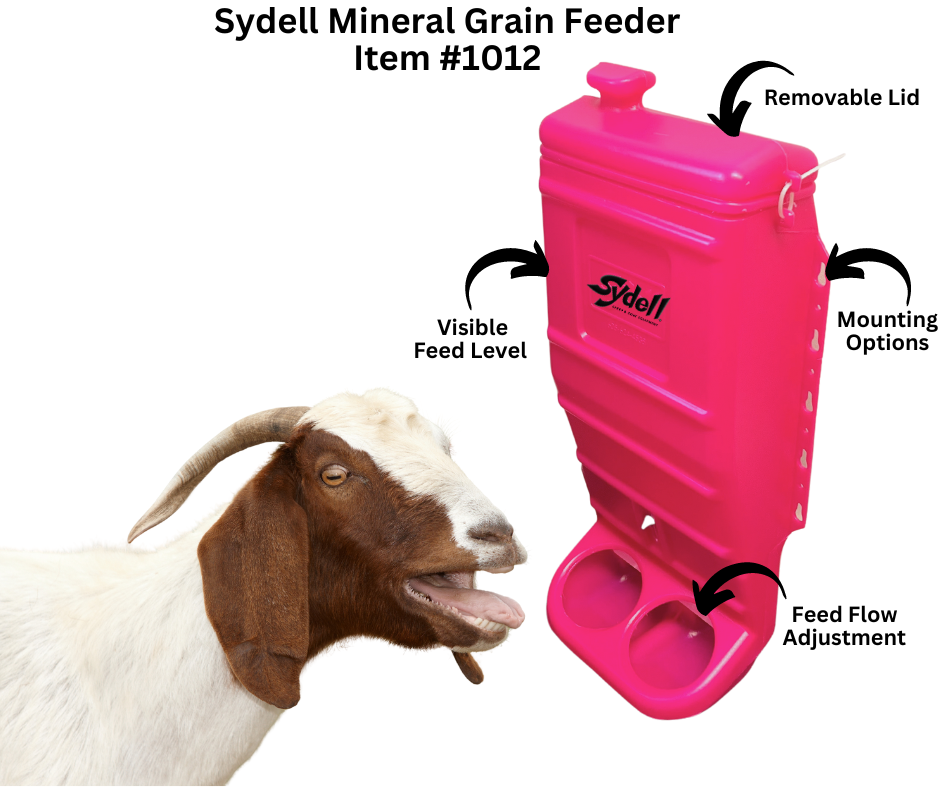 Pink Mineral & Grain Feeder #1012