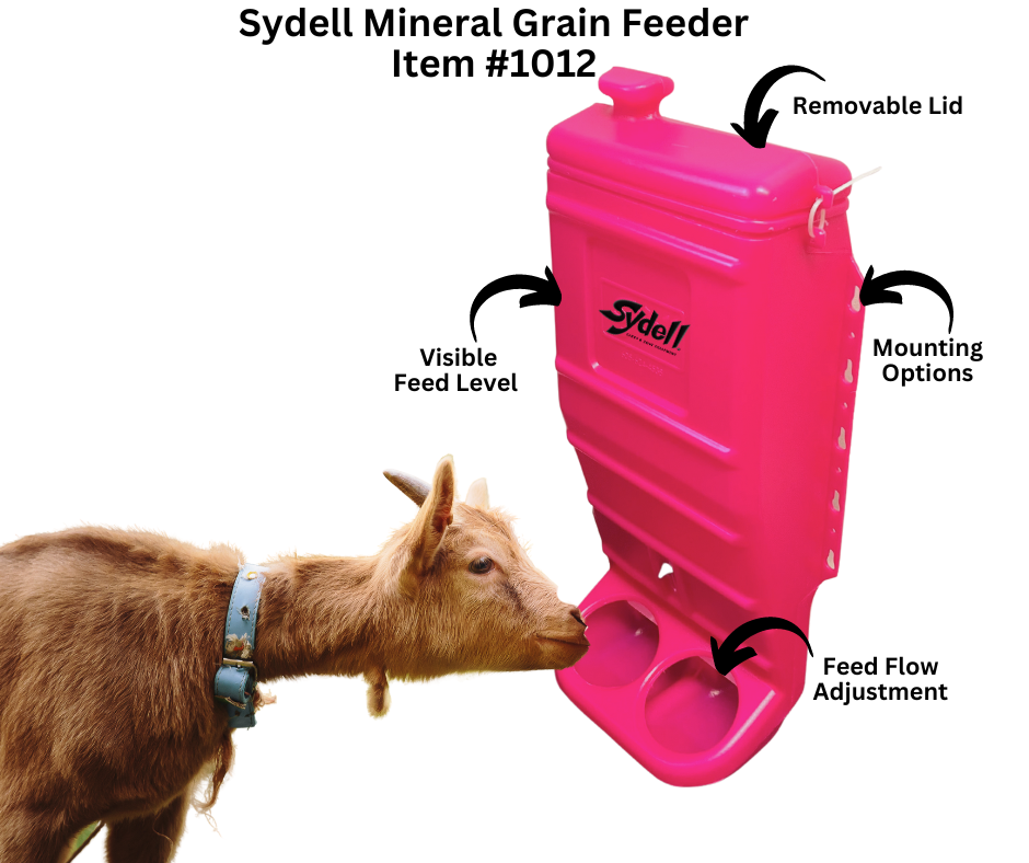 Pink Mineral & Grain Feeder #1012