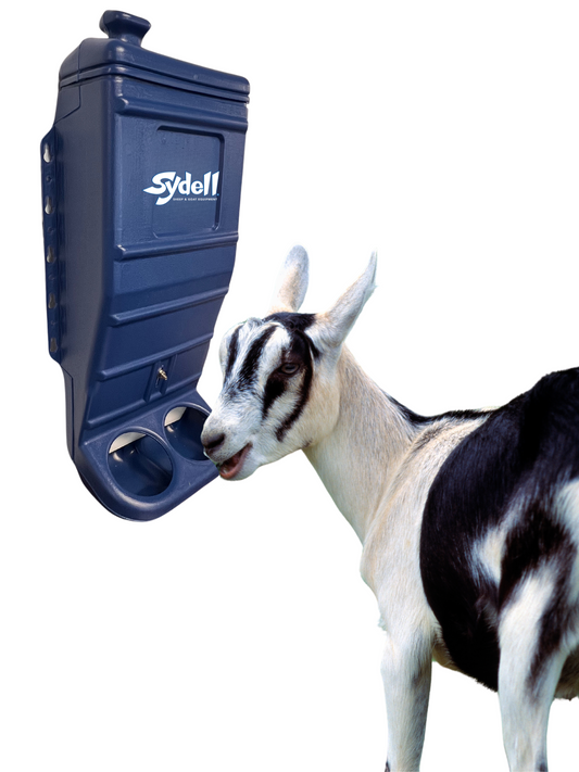Sydell Blue Poly Mineral & Grain Feeder – Sheep, Goat & Small Livestock Feeder | 25 lb Capacity | Item #1013 installed in barn layout for efficient