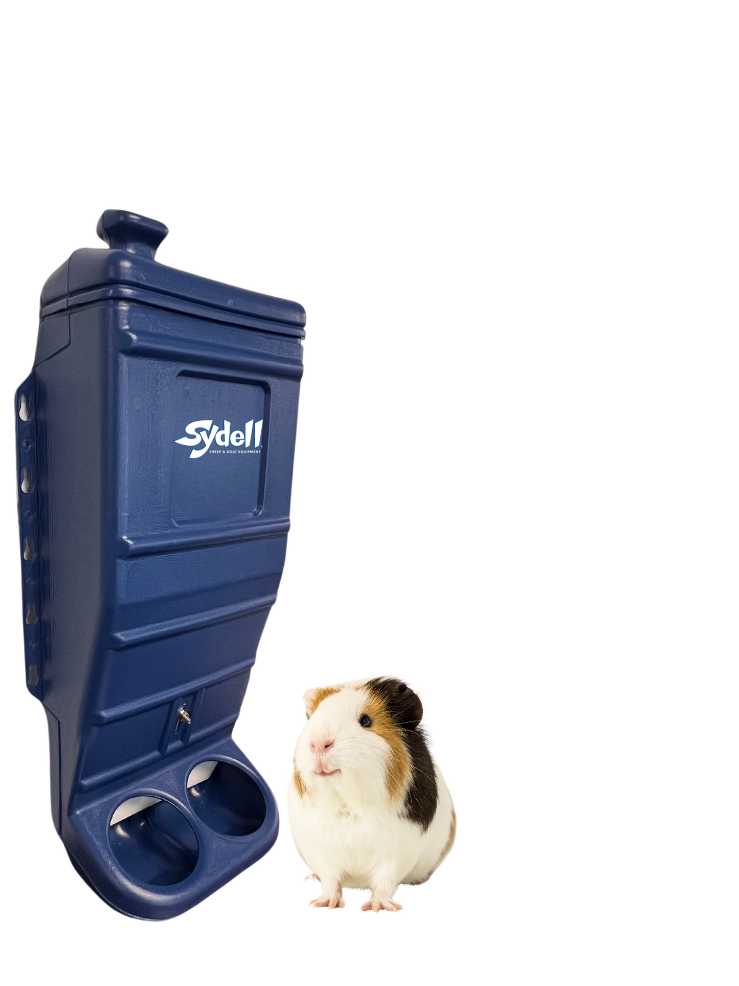 Sydell Blue Mineral & Grain Feeder Item #1013