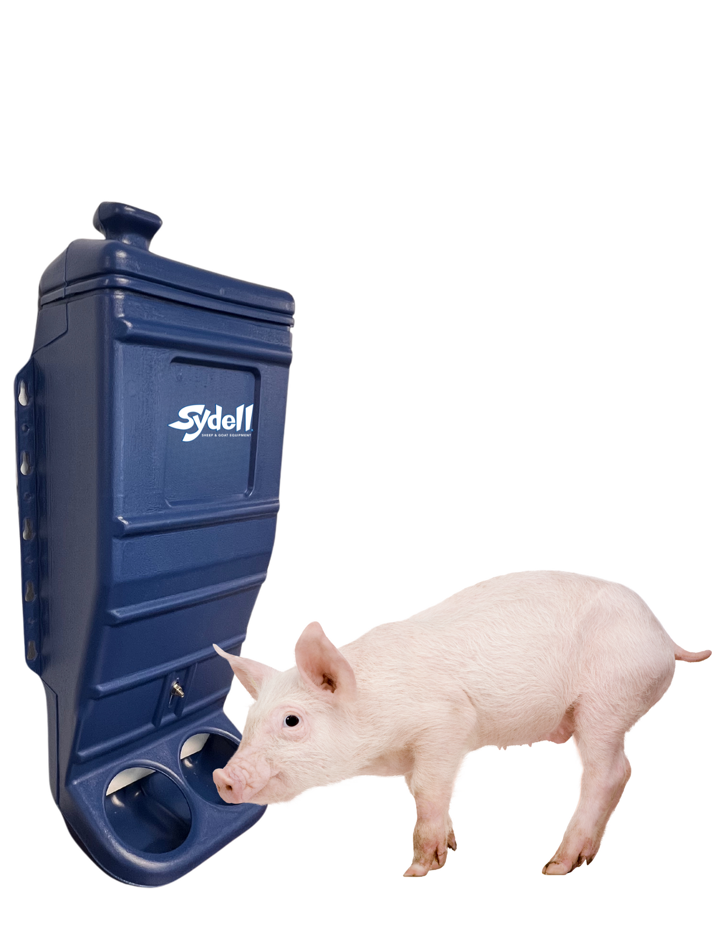 Sydell Blue Mineral & Grain Feeder Item #1013