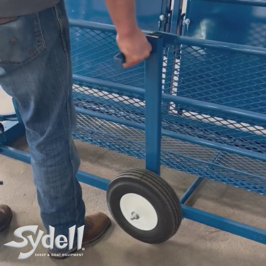 Sheep and goat handling equipment setup designed for safer handling and routine management