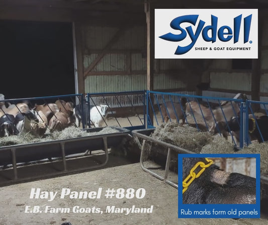 Hay Panel w/Slant Openings for sheep and goats avalible in 8' and 4'. installed in barn layout for efficient sheep and goat handling