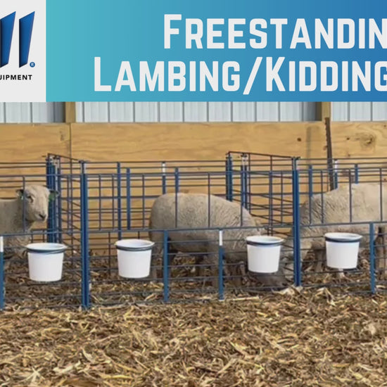 Sheep and goat lambing jug setup designed for safer handling and routine management