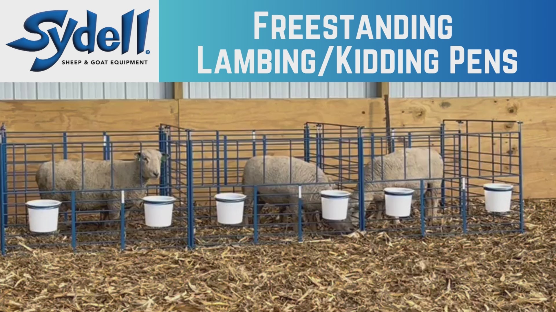 Sheep and goat lambing jug setup designed for safer handling and routine management
