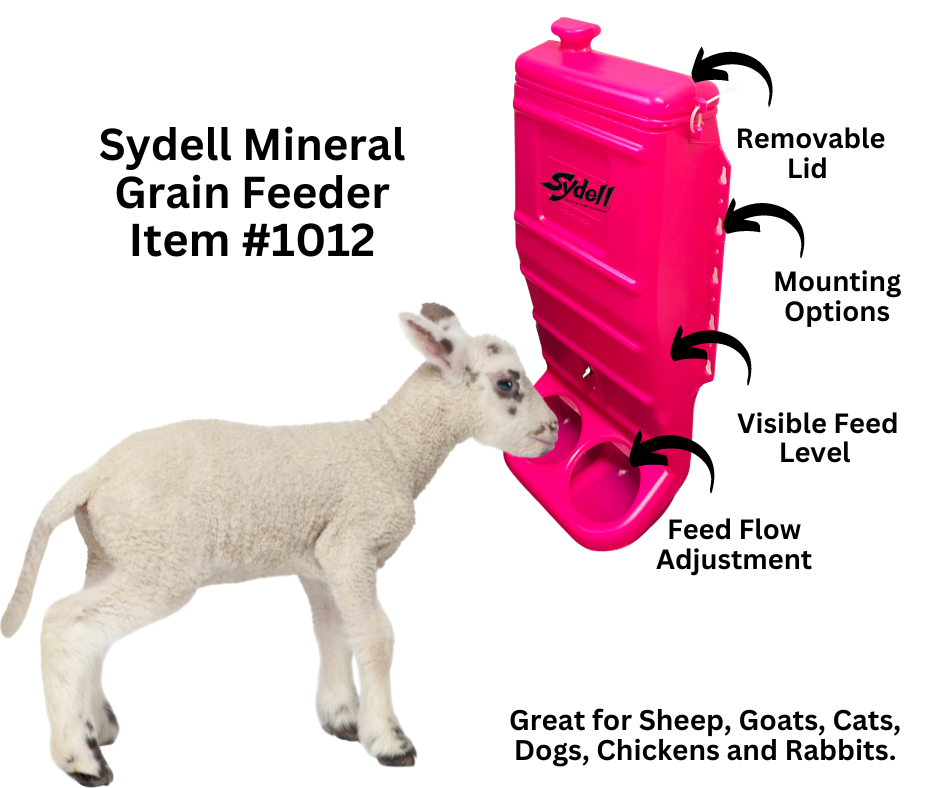Pink Mineral & Grain Feeder #1012