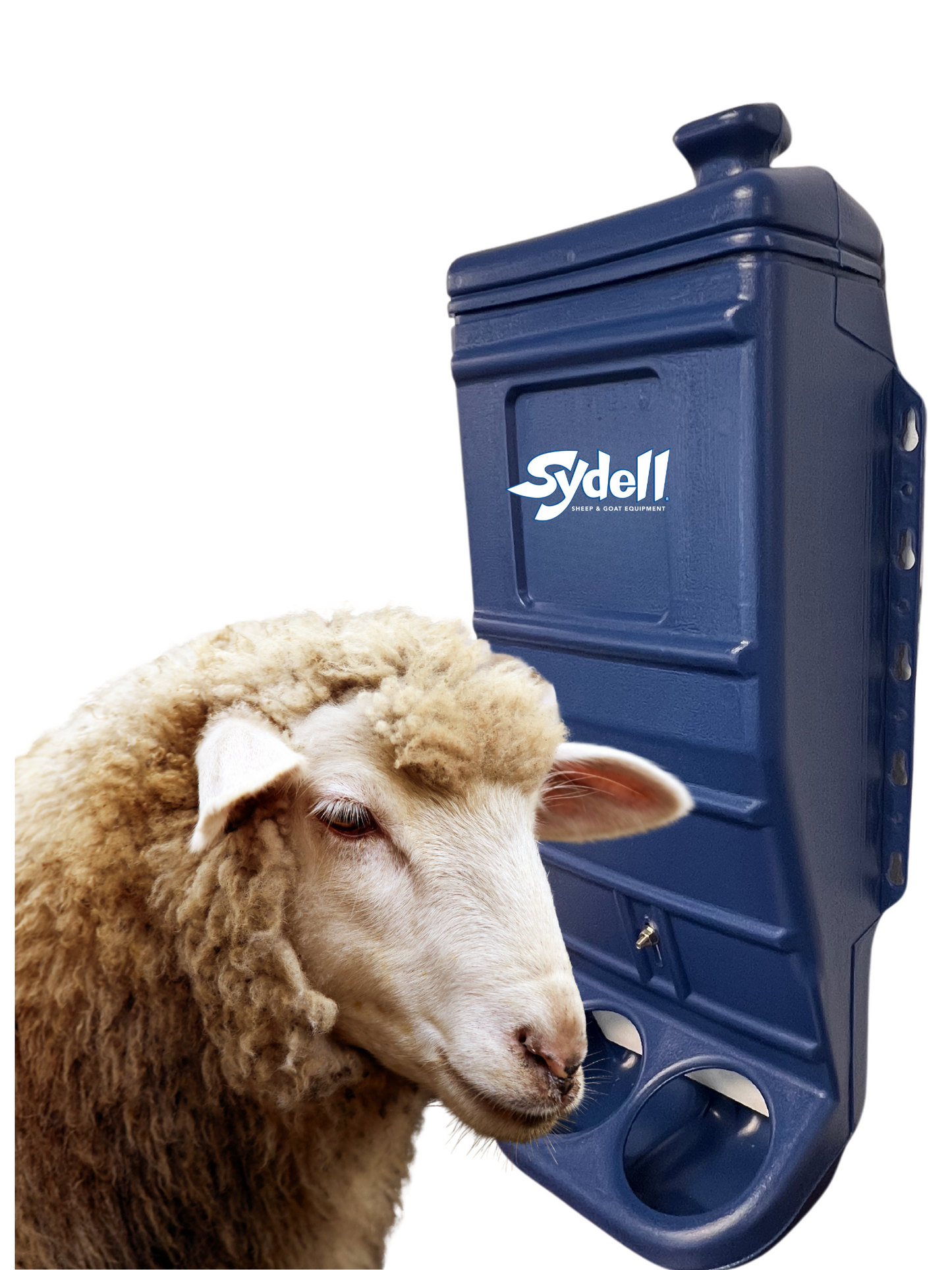 Sydell Blue Mineral & Grain Feeder Item #1013