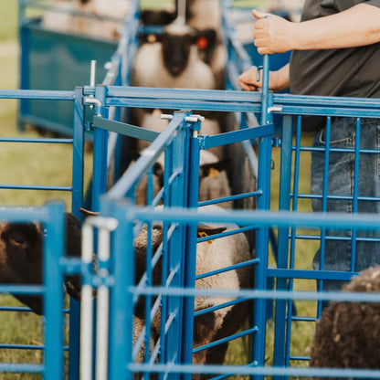 Complete Corral Working System B for Sheep & Goats | Sydell #0992