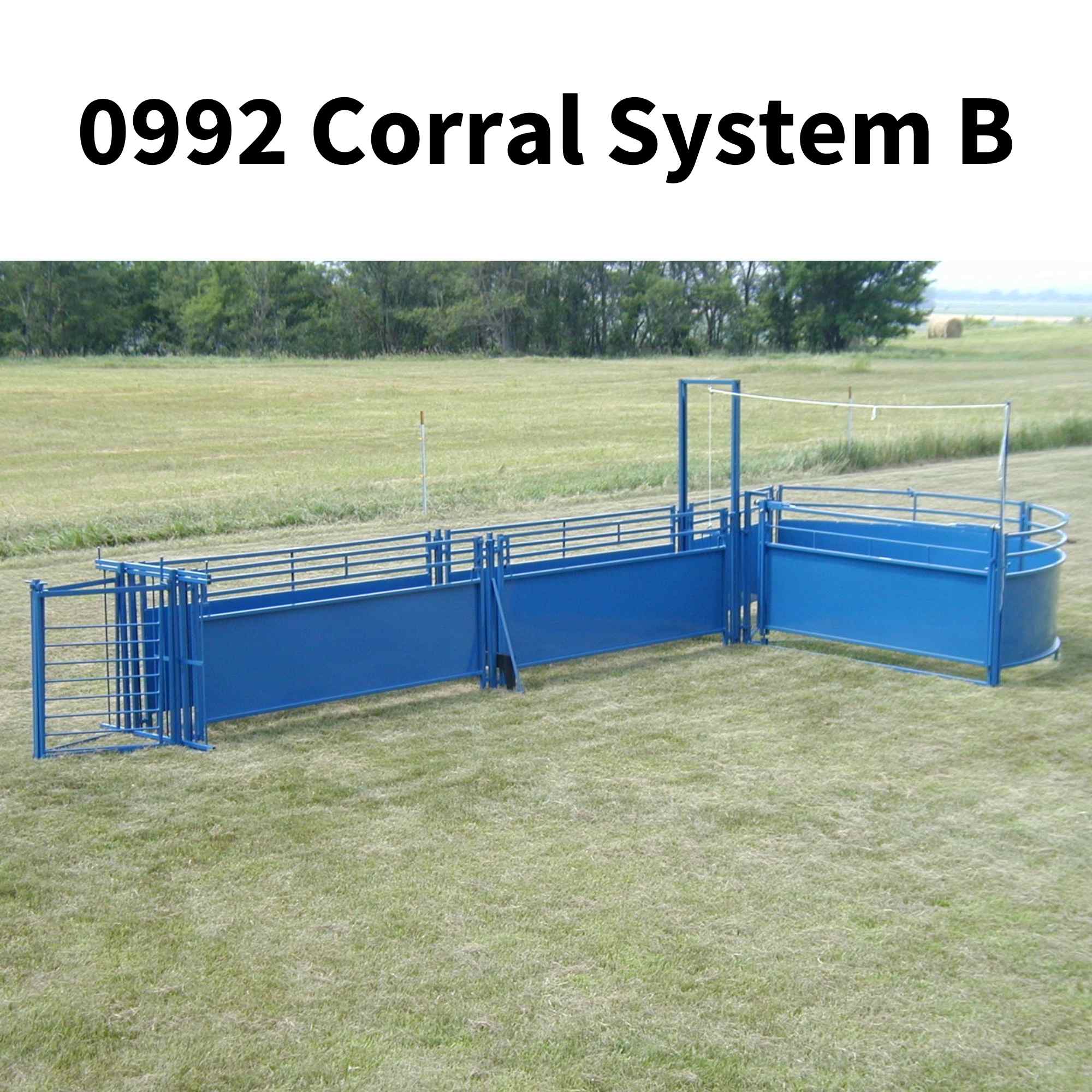 Sheep & Goat Working Stock Equipment | Handling & Management