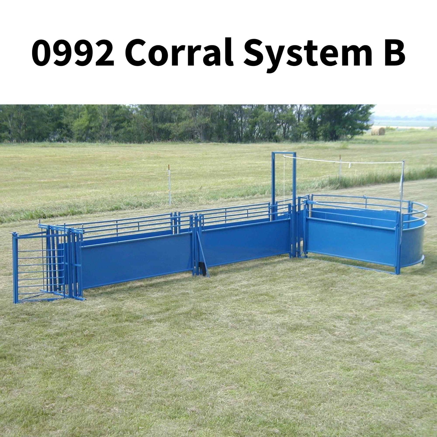 Complete Corral Working System B for Sheep & Goats | Sydell #0992