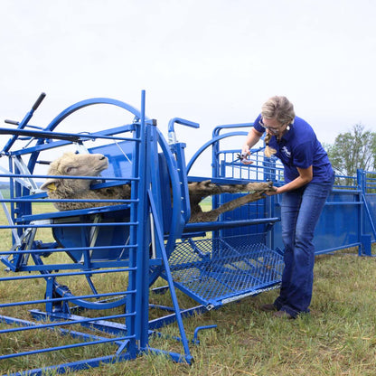 Sheep & Goat Working System E | Sydell #0987