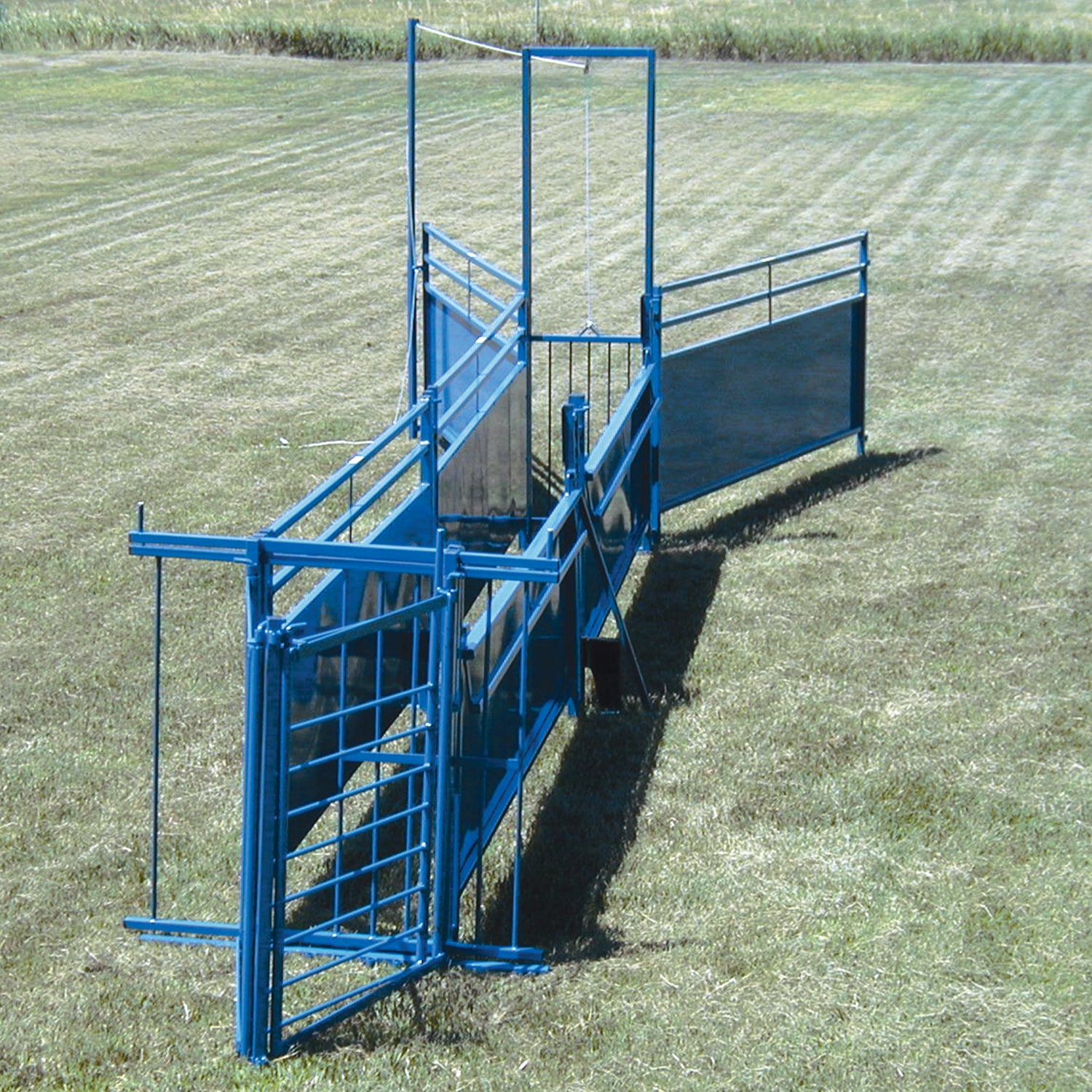 Sheep & Goat Working Stock Equipment | Handling & Management | Sydell ...
